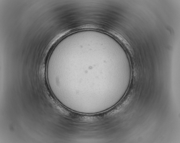 X0000111430933200908031328