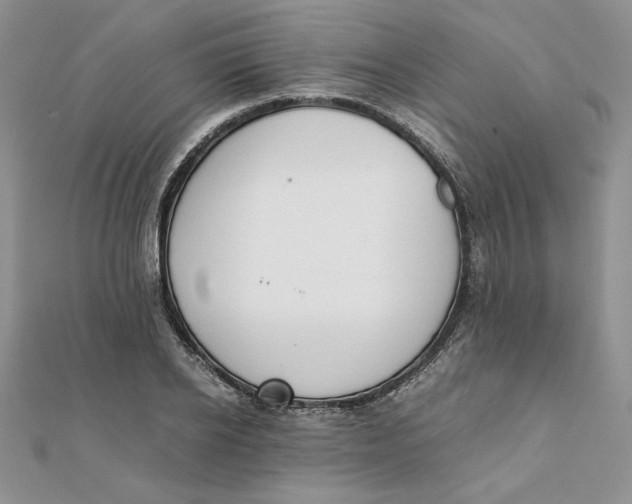 X0000111430934200908031328