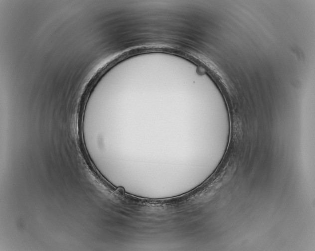 X0000111430935200908031328