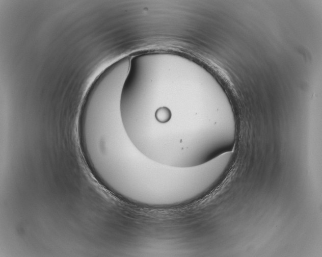 X0000111430936200908031328