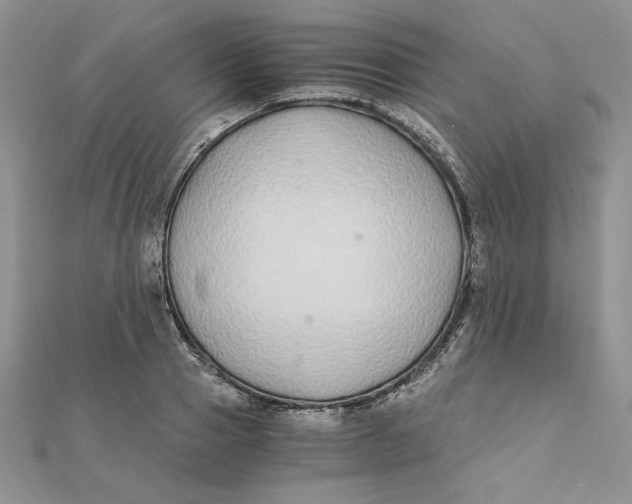 X0000111430937200908031328