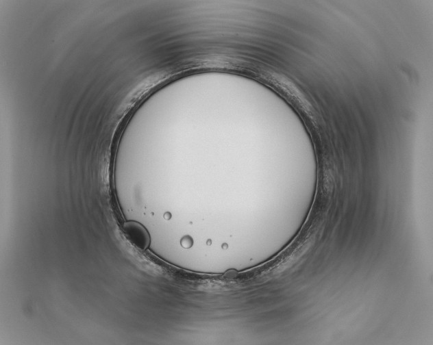 X0000111430938200908031328