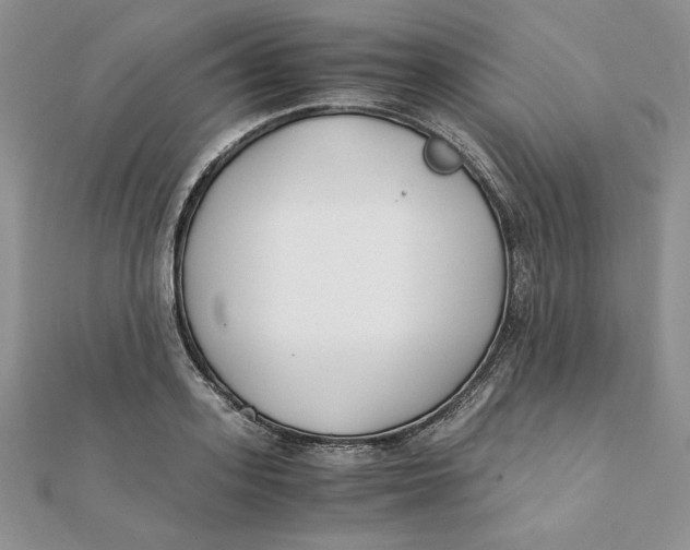 X0000111430939200908031328