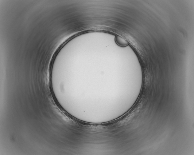 X0000111430940200908031328