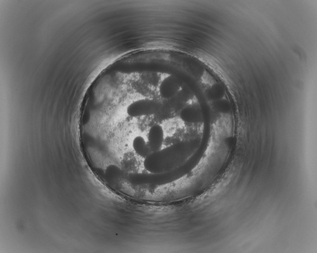 X0000111430941200908031328