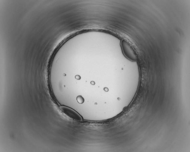 X0000111430942200908031328