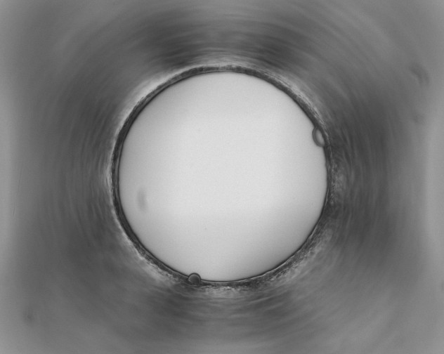 X0000111430943200908031328