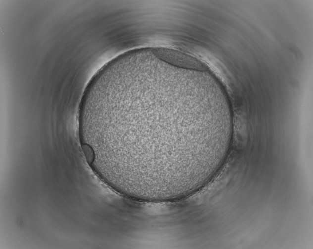 X0000111430944200908031328