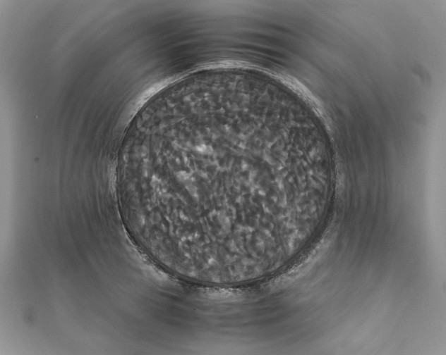 X0000111430945200908031328