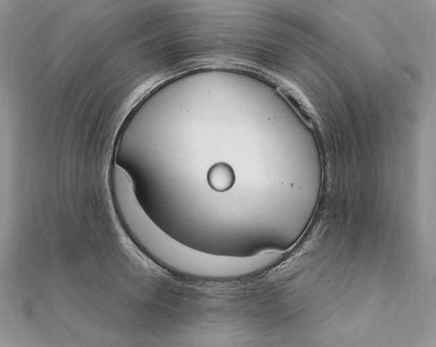 X0000111430946200908031328