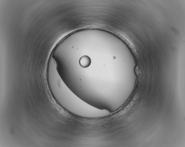 X0000111430948200908031328