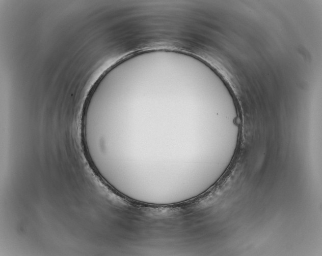 X0000111430949200908031328