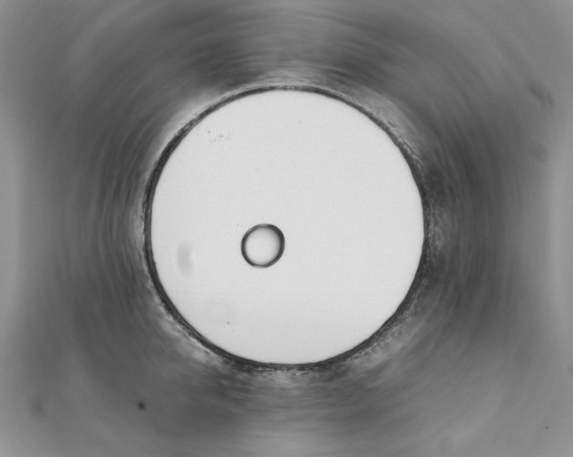 X0000111430950200908031328