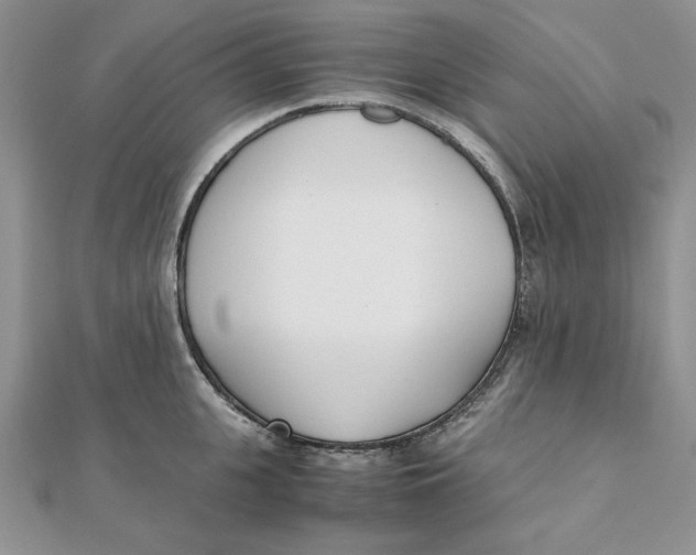 X0000111430951200908031328