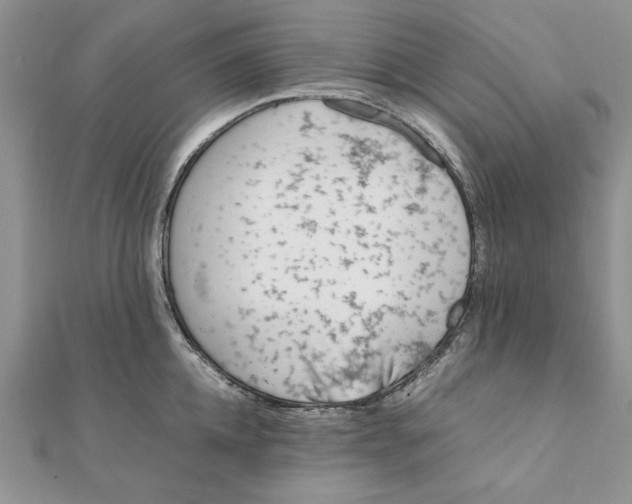 X0000111430952200908031328