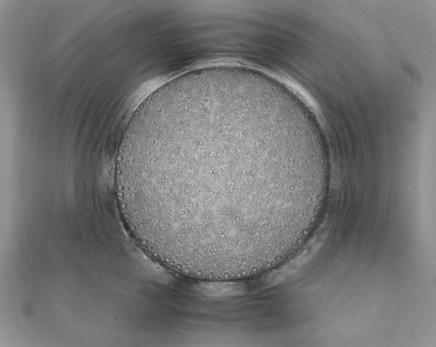 X0000111430953200908031328