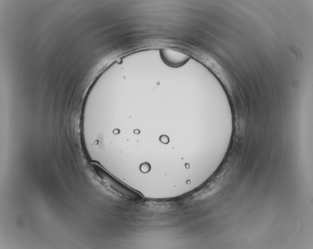 X0000111430954200908031328