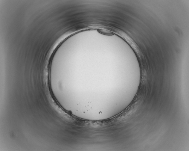 X0000111430955200908031328