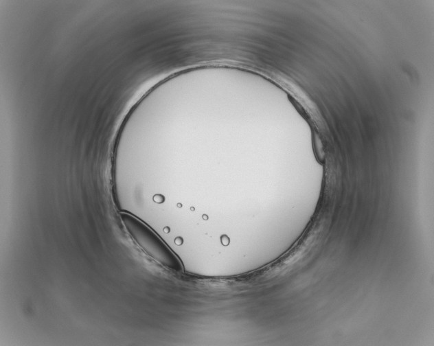 X0000111430956200908031328