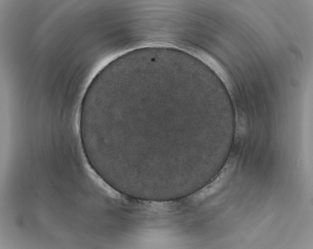 X0000111430958200908031329