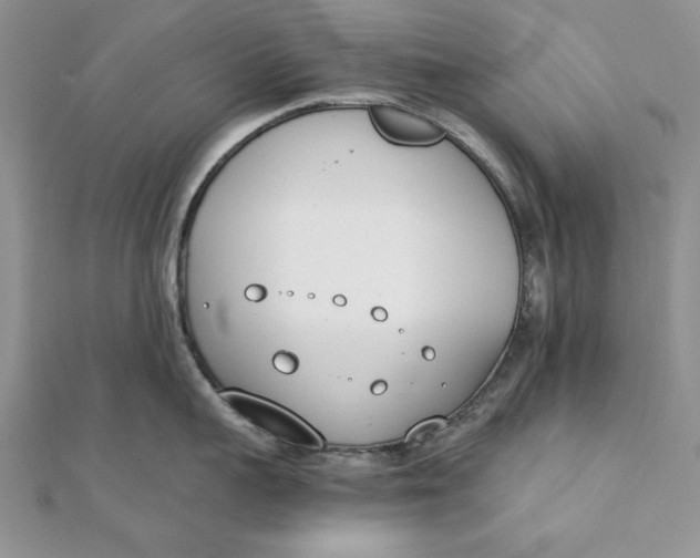 X0000111430959200908031329