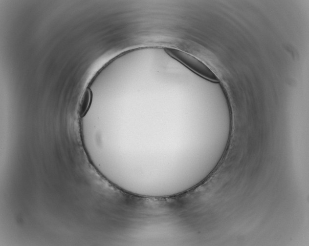 X0000111430960200908031329