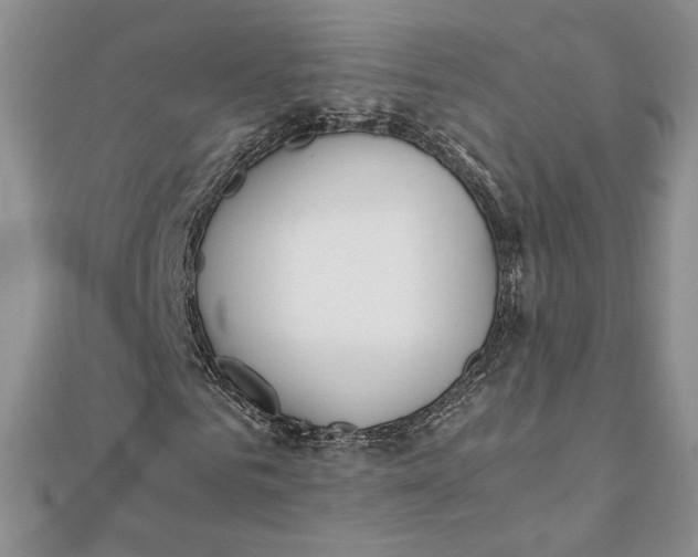 X0000111430961200908031328