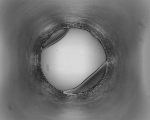 X0000111430965200908031328