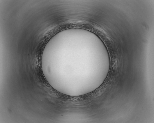 X0000111430966200908031328