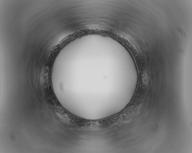 X0000111430968200908031328