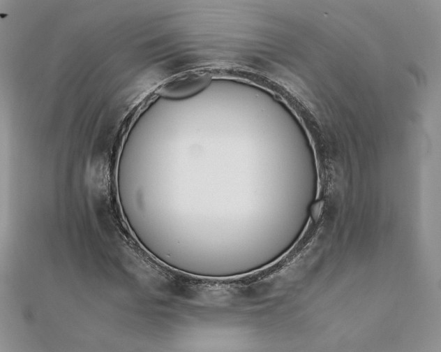 X0000111430969200908031328