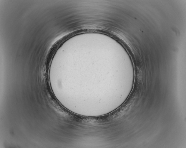 X0000111430971200908031328