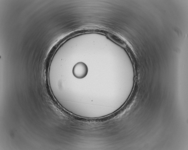 X0000111430973200908031328