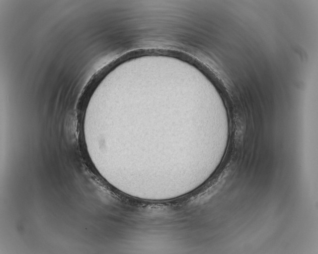 X0000111430974200908031328