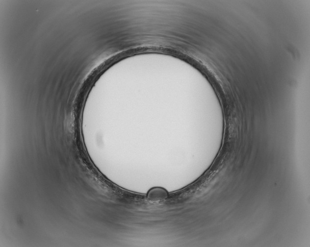 X0000111430975200908031328