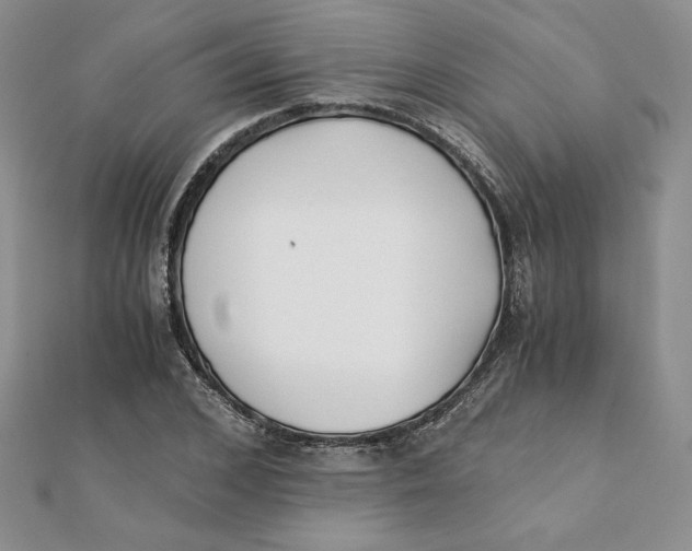 X0000111430976200908031328