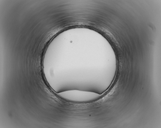 X0000111430977200908031328