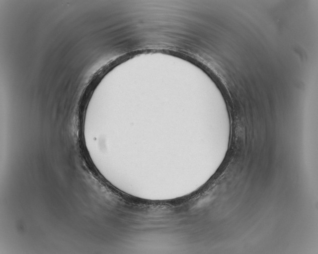 X0000111430979200908031328