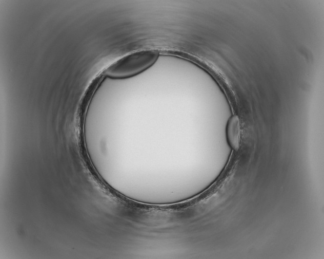 X0000111430981200908031328