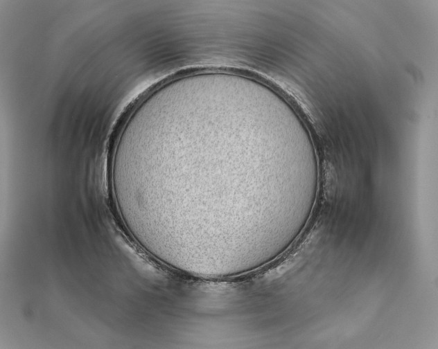 X0000111430982200908031328