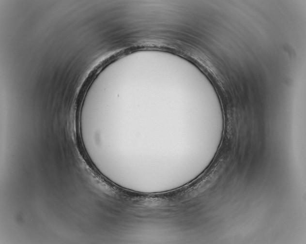 X0000111430984200908031328