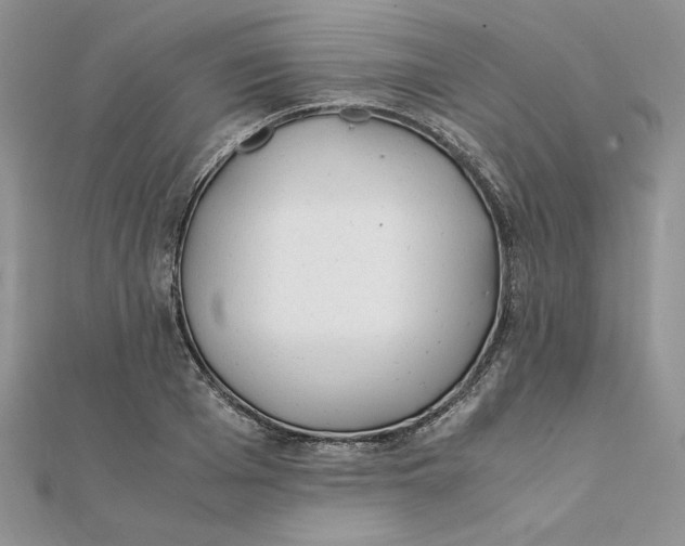 X0000111430985200908031328