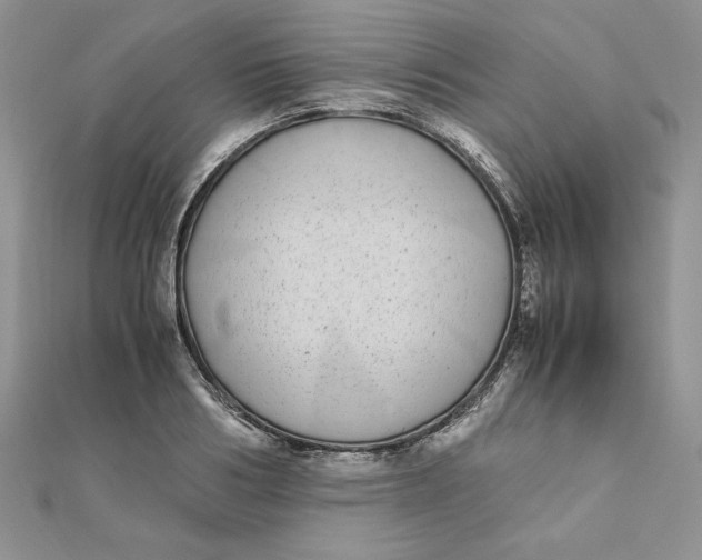 X0000111430986200908031328