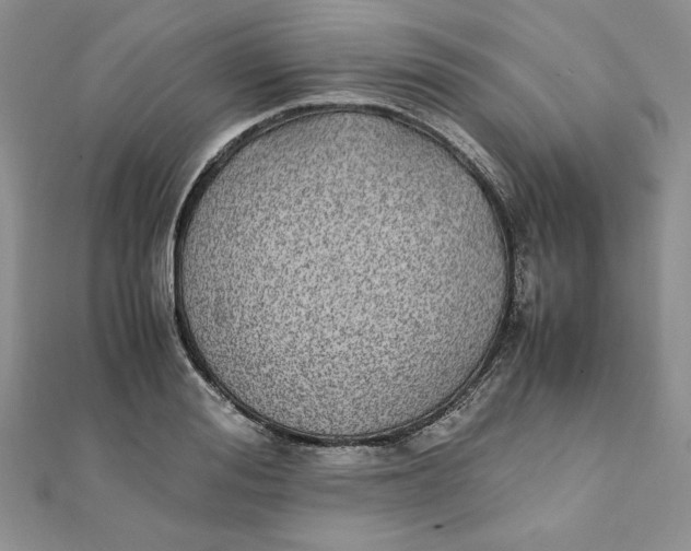 X0000111430988200908031328