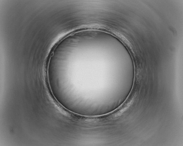 X0000111430989200908031328