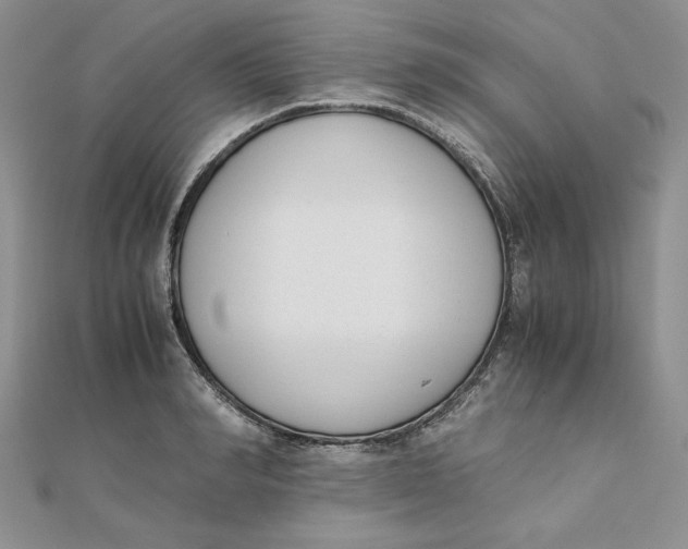 X0000111430990200908031327