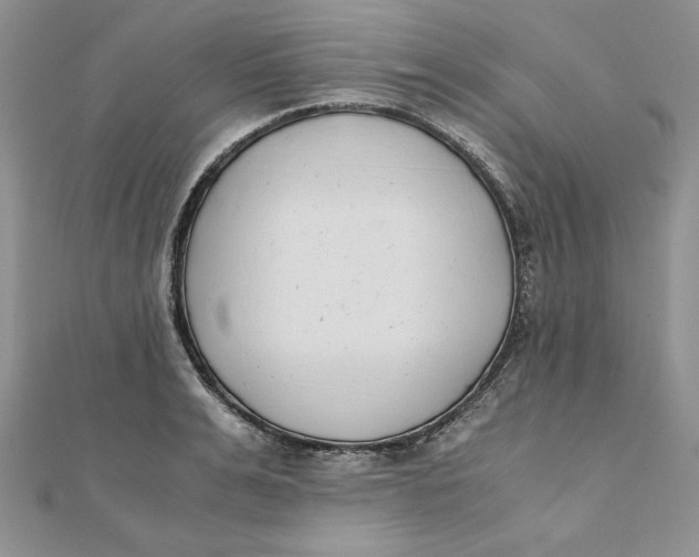 X0000111430991200908031327