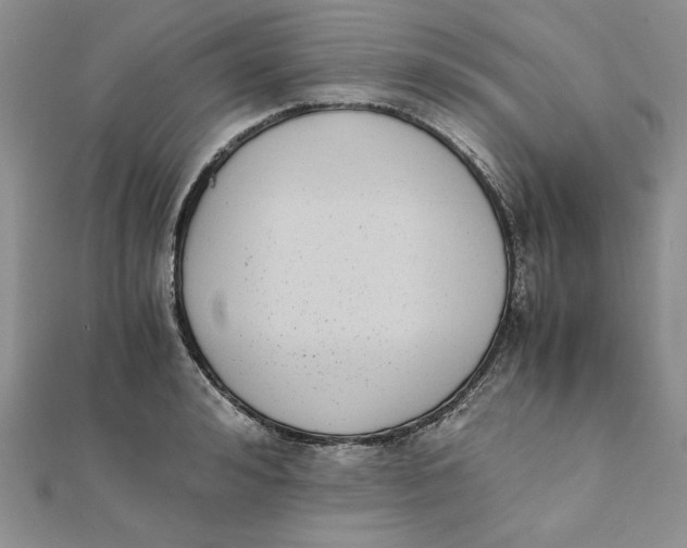 X0000111430992200908031327