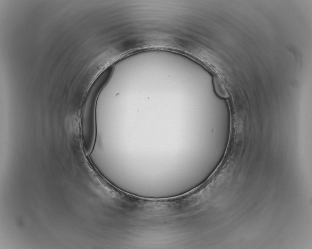 X0000111430993200908031327