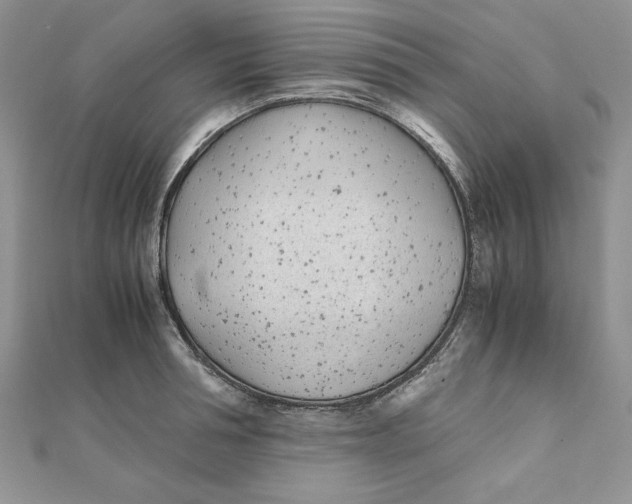 X0000111430994200908031327